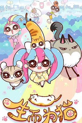 seo云帆真的有效吗